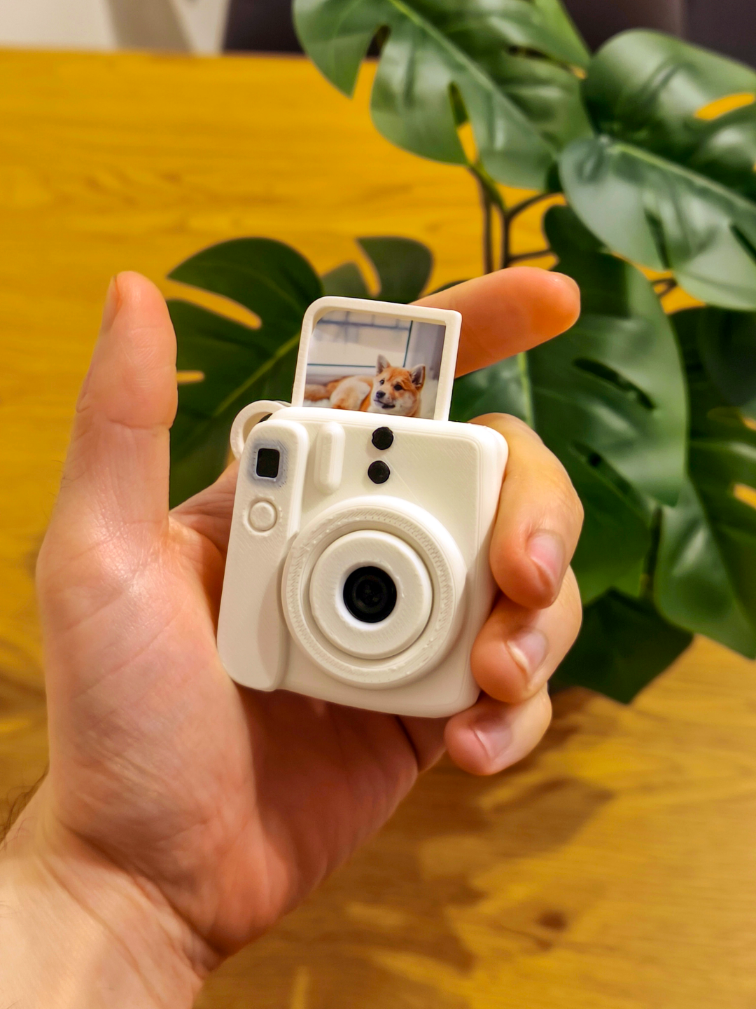Personalised Mini Instant Camera Keychain